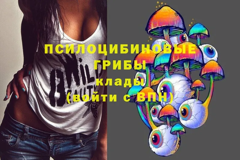 Псилоцибиновые грибы Cubensis  наркота  кракен как зайти  Апатиты 